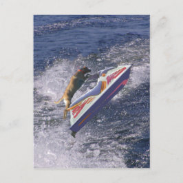 Cooler Labrador Jumping Waves Postkarte