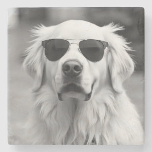 Cooler Labrador mit Sonnenbrille – Lustiges Hunded Steinuntersetzer
