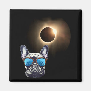 Cooler Lustiger Hund Trägt Sonnenbrille Beim Beoba Magnet