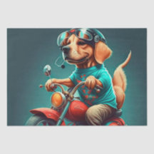 Cooler Motorradfahrer