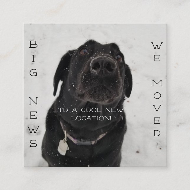 Cooler neuer Standort! Postkarte (Vorderseite)