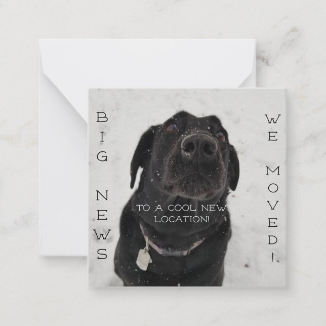 Cooler neuer Standort! Postkarte (Vorderseite)