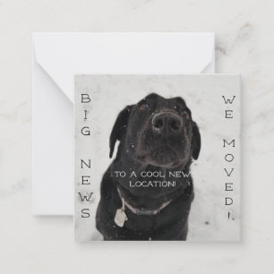 Cooler neuer Standort! Postkarte