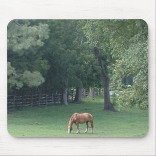 Cooler Serenity - mousepad