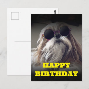 Cooler Shih Tzu Langhaar Retro-Foto Geburtstag Postkarte