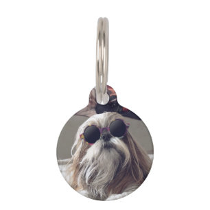 Cooler Shih Tzu Langhaar Vintage Sonnenbrille Foto Haustiermarke