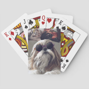 Cooler Shih Tzu Langhaar Vintage Sonnenbrille Foto Spielkarten