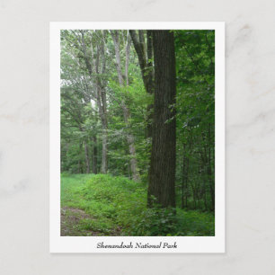 Cooler Sommer Abend Postkarte
