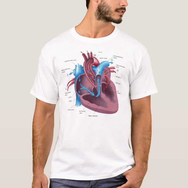 Cooler T - Shirt der Herz-Anatomie (Vorderseite)