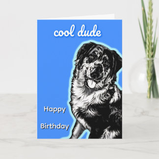 Cooler Typ australischer Schäferhund Grußkarte Karte