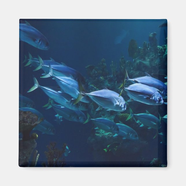 Cooles Aquarium Fisch Dunkles Wasser Magnet (Vorne)