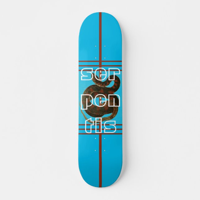 Cooles Blue Serpent Design Skateboard für Anfänger (Vorne)