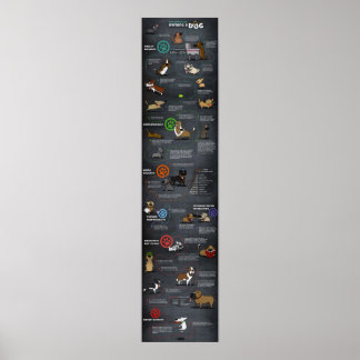 Cooles Dosenplakat Poster