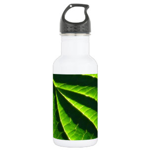 Cooles grünes Blatt Trinkflasche