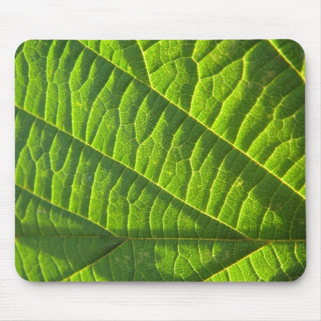 Cooles Grünes Blätter Mousepad (Vorne)