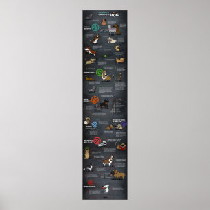 Cooles Hundeplakat Poster