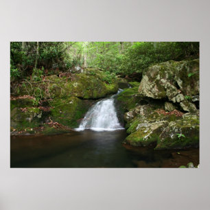 Cooles Pool-Plakat Poster