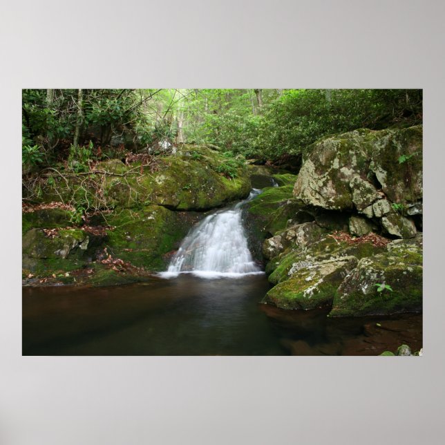 Cooles Poster (Vorne)