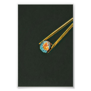 Cooles Sushi Fotodruck