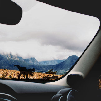 Cooles T-rex-Dinosaurier-Fenster für Kfz-Lkw Aufkleber