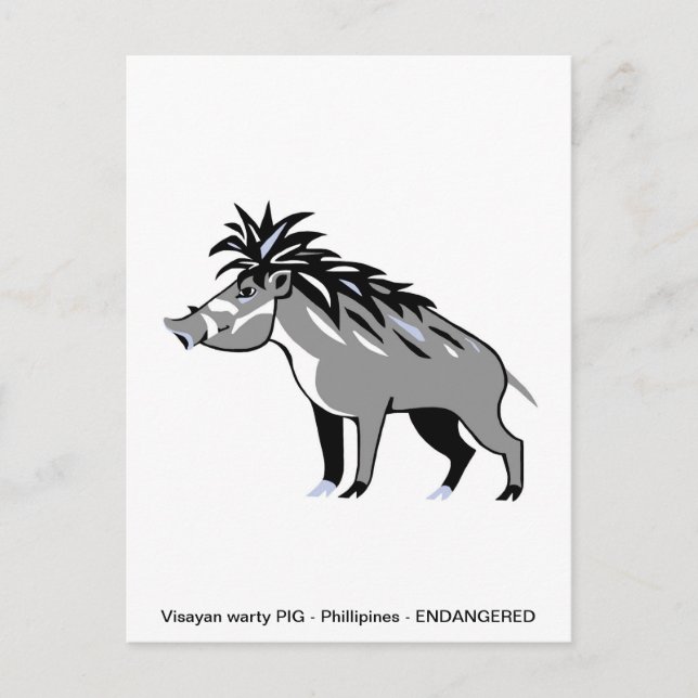 Cooles Visayan Warty PIG - Konservierung - Warthos Postkarte (Vorderseite)