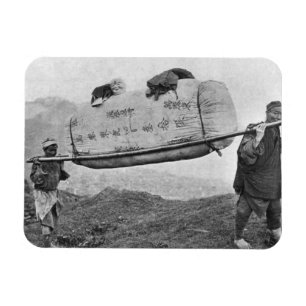 Coolies, die Baumwolle, 1901 (b/w, tragen Foto) Magnet