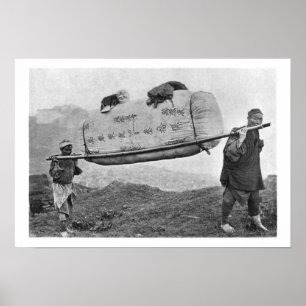 Coolies, die Baumwolle, 1901 (b/w, tragen Foto) Poster