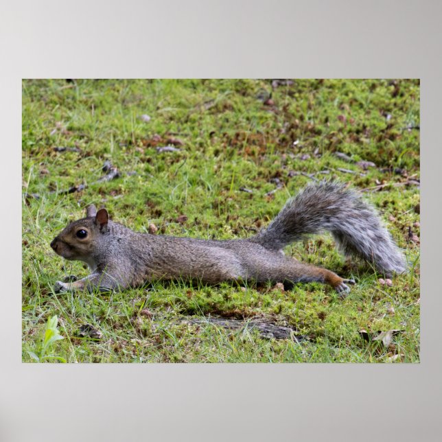 Cooling Off Poster (Vorne)