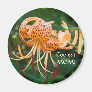 COOLSTE MAMA! Tiger Lily Maget Kühlschrank Magnete