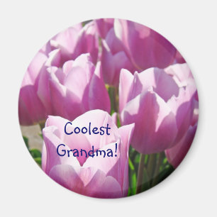 Coolste Oma! Magnete Helle Purpur Tulpen