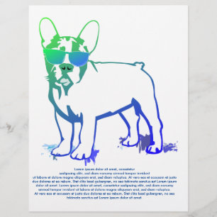 Coolster Französische Bulldogge Junge Flyer