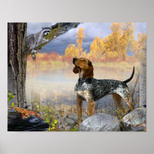 Coon Dog Trees Raccoon Poster