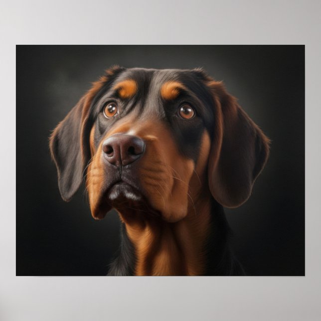 Coonhound Dog Poster (Vorne)