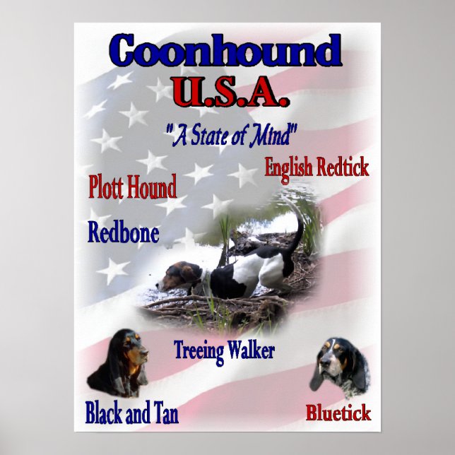 Coonhound Liebhaber Geschenke Poster (Vorne)