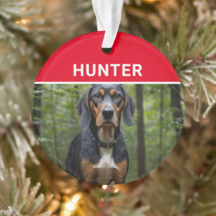 Coonhound mit dem Namen des Hundes und Fotos Weihn Ornament