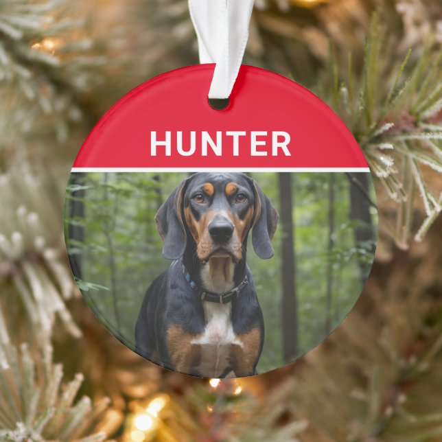 Coonhound mit dem Namen des Hundes und Fotos Weihn Ornament (Baum)
