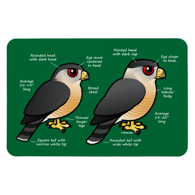 Coop / Sharpie Magnet (Horizontal)