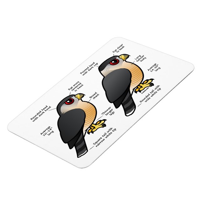 Coop / Sharpie Magnet (Linke Seite)