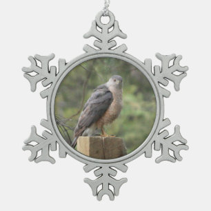 Cooper-Hawk Schneeflocken Zinn-Ornament