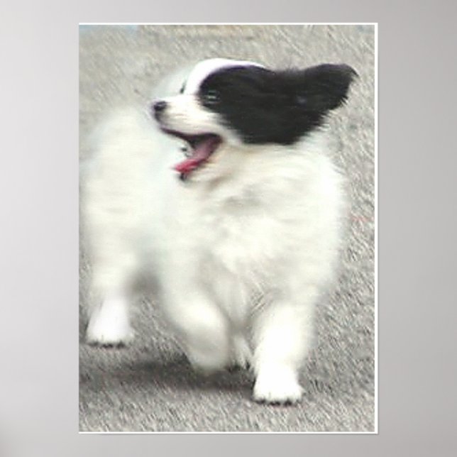 COOPER POSTER (Vorne)