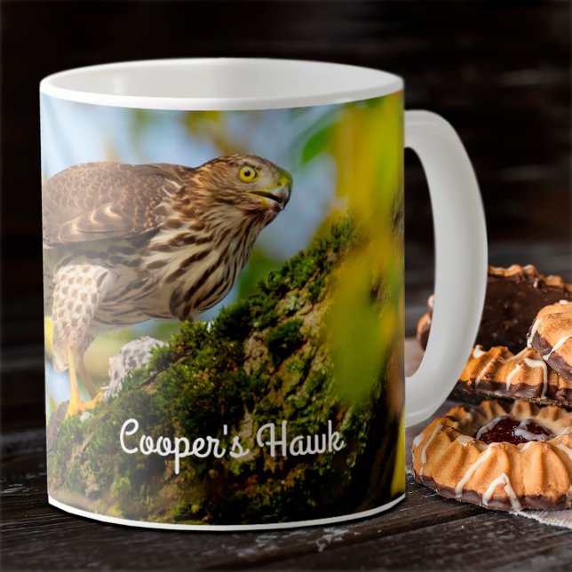 Cooper’s hawk kaffeetasse (Von Creator hochgeladen)