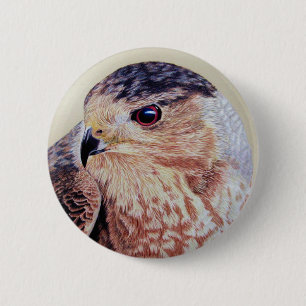 Coopers Hawk Button
