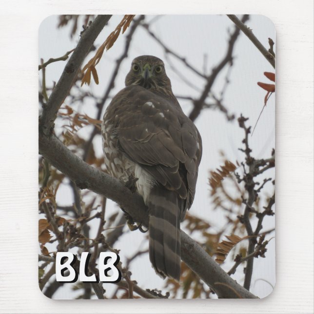 Cooper's Hawk in Tree Your Initials Mouse Pad Mousepad (Vorne)