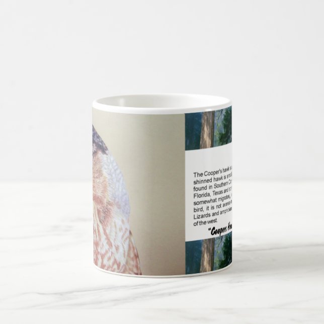 Coopers Hawk Kaffeetasse (Mittel)