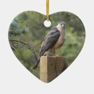 Cooper's Hawk Keramikornament