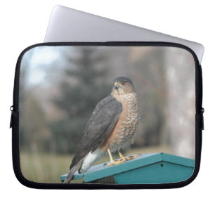 Coopers Hawk Laptopschutzhülle