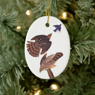 Cooper's Hawk Oval Weihnachtsschmuck