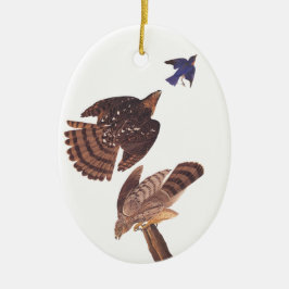 Cooper's Hawk Oval Weihnachtsschmuck