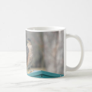 Coopers Hawk Tasse