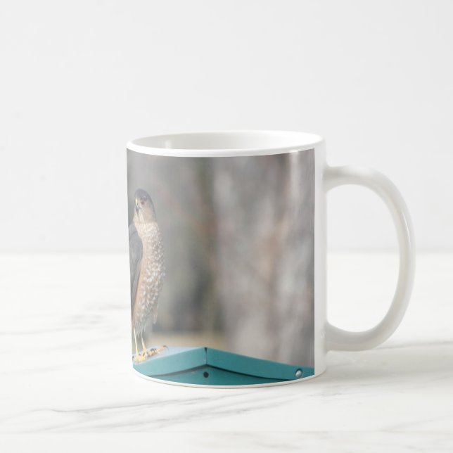 Coopers Hawk Tasse (Rechts)
